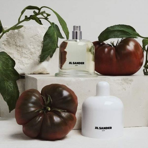 Jil Sander Leaf Image