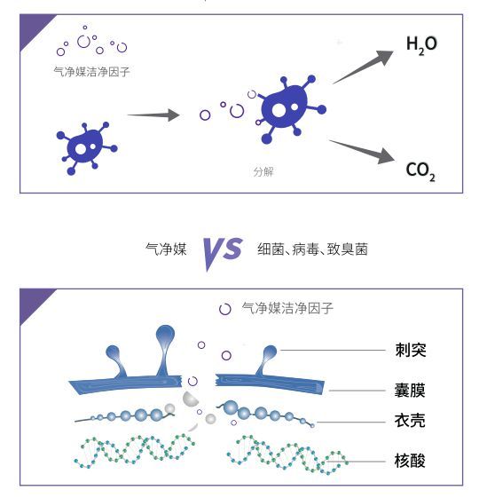 告别清新剂掩盖！气净媒主动分解甲醛，重塑室内空气安全