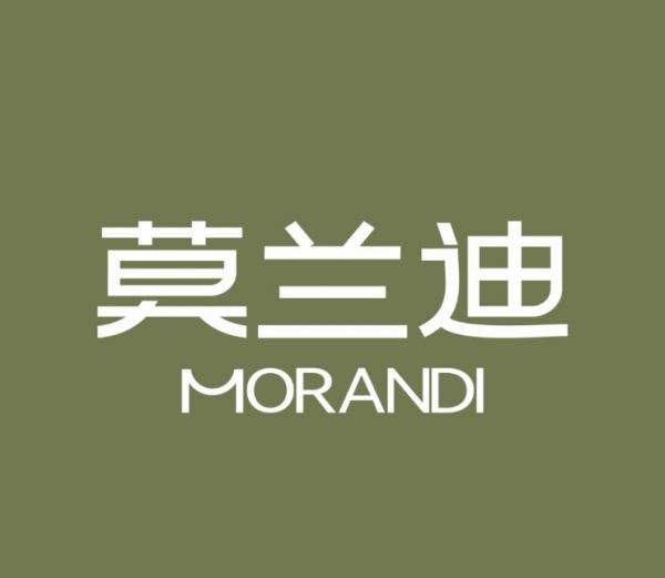 Morandi Curtain Quality