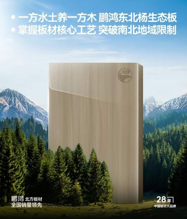 鹏鸿技术进化史