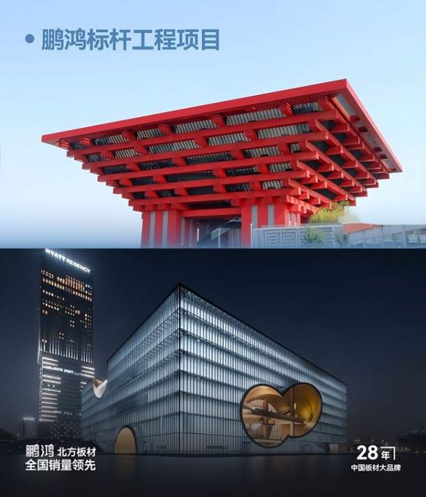 鹏鸿重大标杆工程