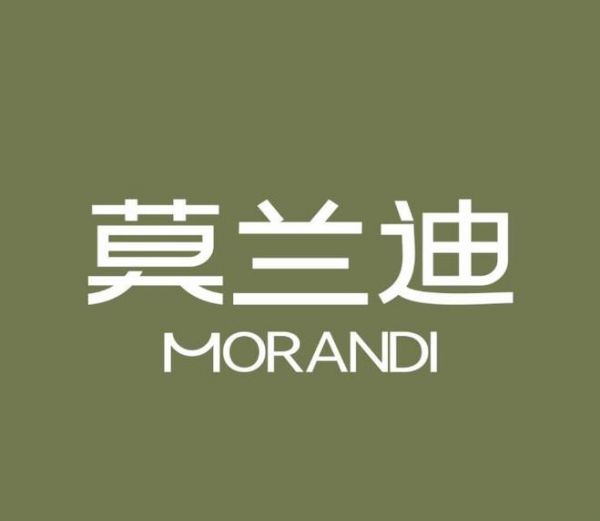 Morandi Antibacterial Curtains 
