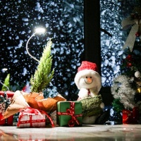 7W预算，迷你植物灯：小空间养绿植神器