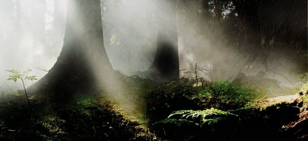 HÅGARSTEN Green Sleep Concept