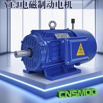 南京苏玛电机有限公司产品图片2