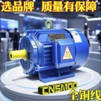 苏玛电机：科技领航，智造先锋，全球信赖服务