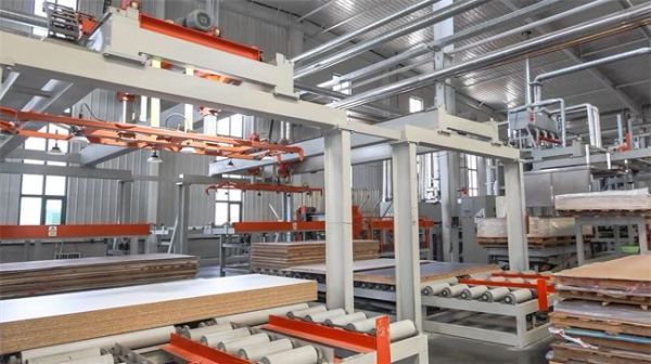 Forest Pigeon High-Quality Production Line
