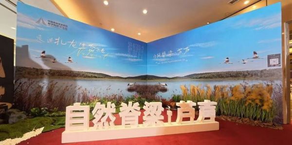 尼尔科达芦苇板全国招商大会现场