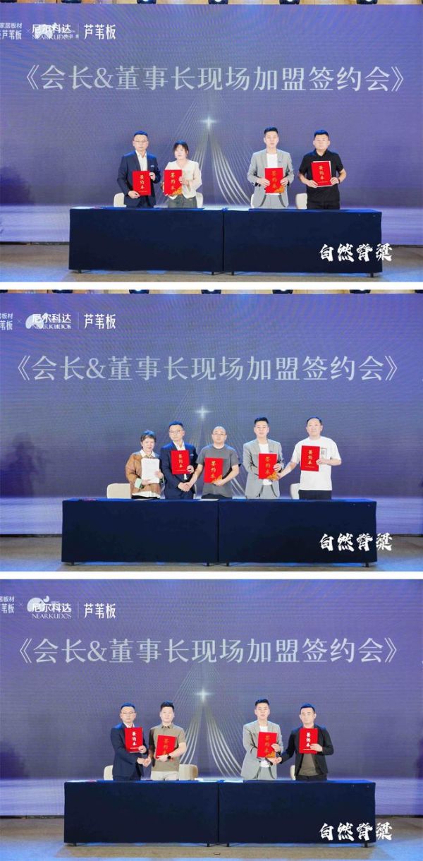 尼尔科达芦苇板市场布局策略展示