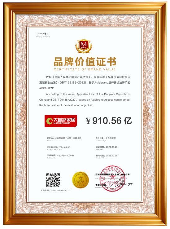 大自然家居品牌成就