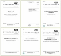 十年智创，千年舟领航：板材新标，共铸行业标准