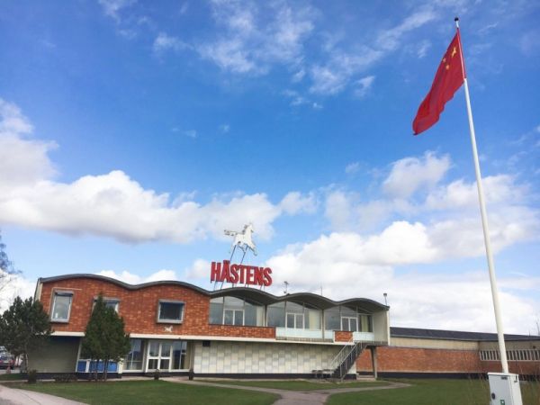 Hästens Service Image