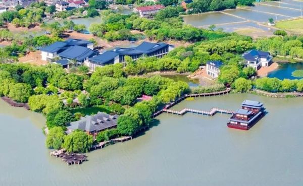 兔宝宝活动交流