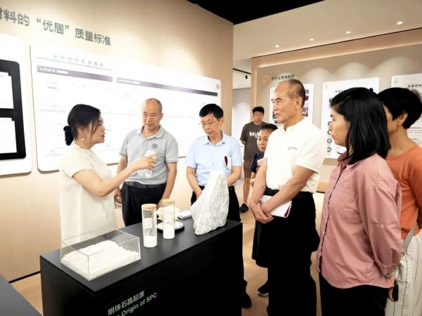 新明珠集团领导与评审团交流