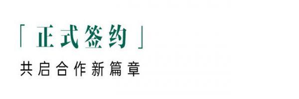 铂金管家项目介绍