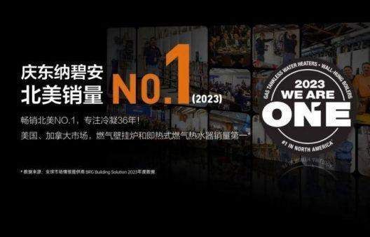 庆东纳碧安全球市场布局图片