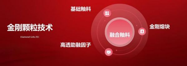 金刚颗粒技术图
