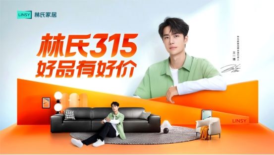 2024年大促：林氏木业差异化突围策略