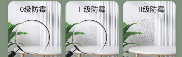 儿童漆抗菌防霉特性