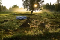 “世界环境日：海丝腾织梦绿色未来”