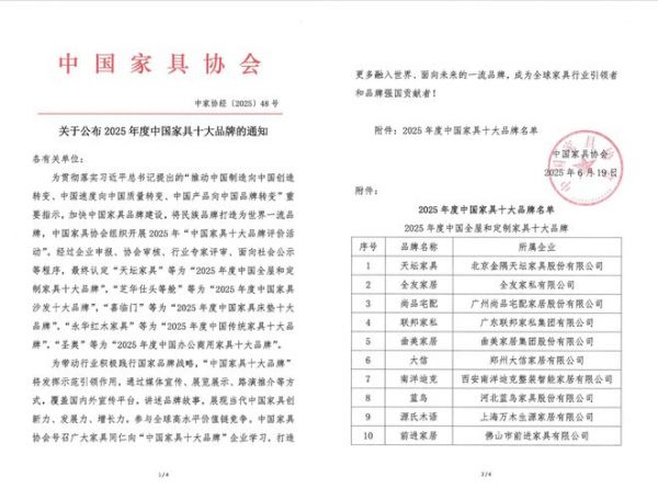 左右沙发获奖图片