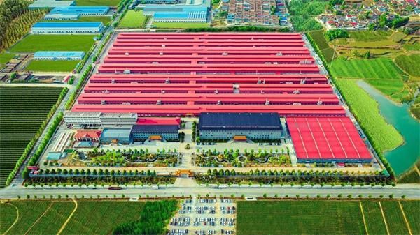 席位重开,新章将至|7.9巧夺天工红木城市合伙人发布会再度开启,邀您入局!