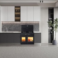 集成灶值不值得买？过来人经验分享