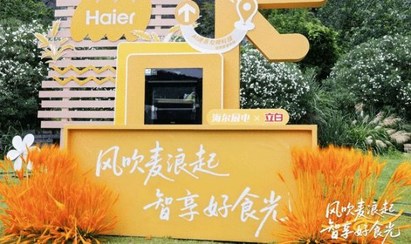 蒸烤一体机演示图