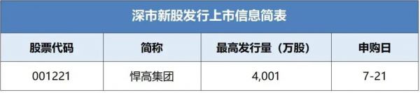 悍高集团招股书图片