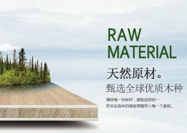 Tian Shan Boards Stability and Durability