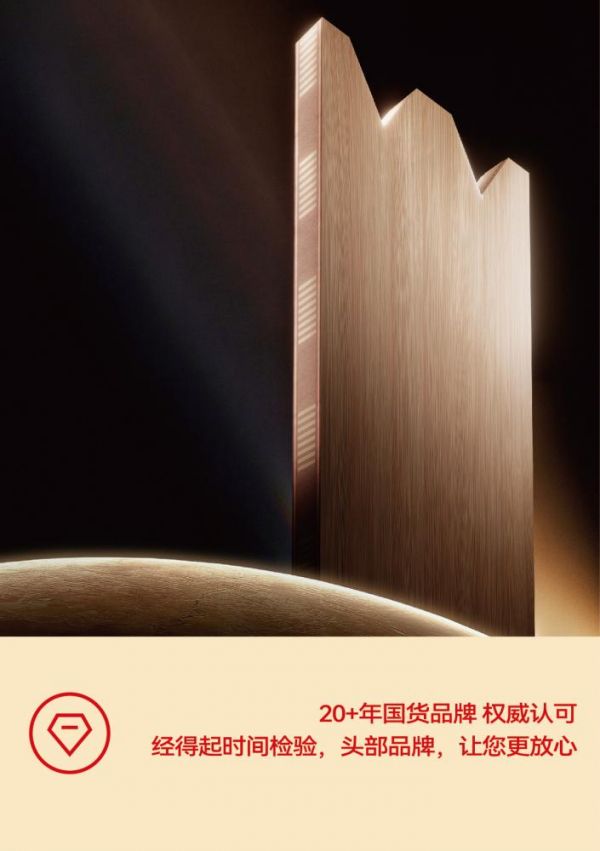 大王椰环保技术展示