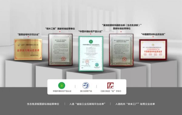 大王椰环保技术专利