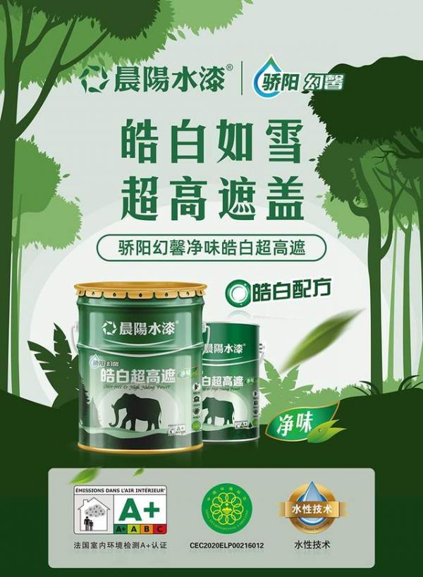 Clean Living Space Wall Paints