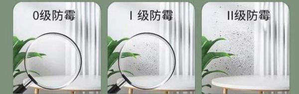 Wall Paints in a Collection