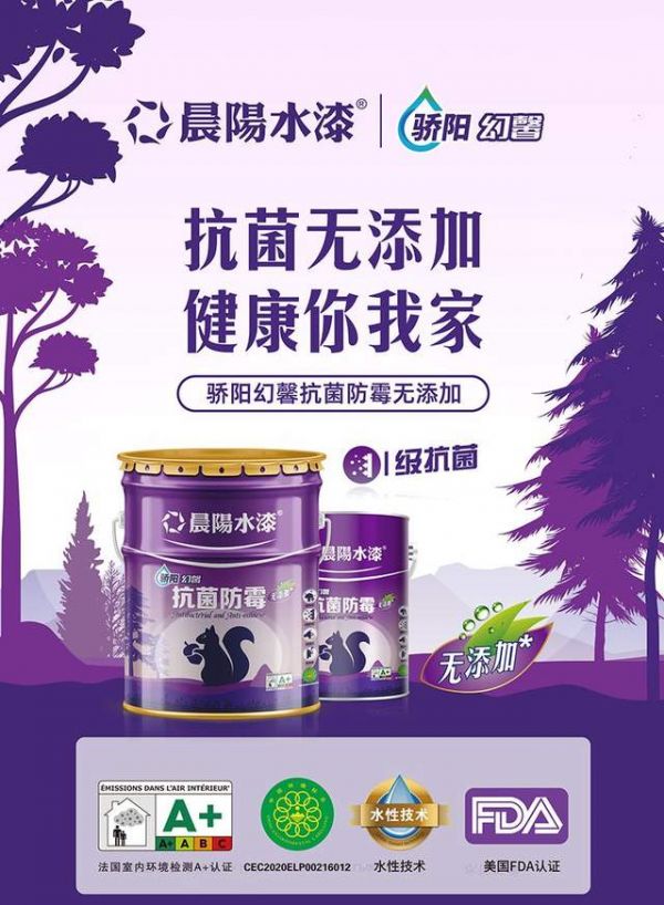 Antibacterial and Antifungal Wall Paints
