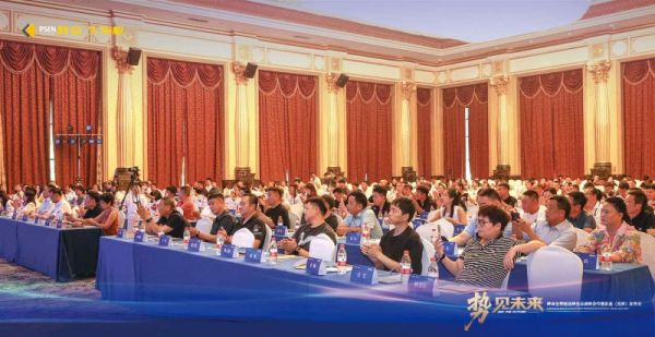 发布会总结照片