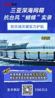 联塑网箱抗台表现优异