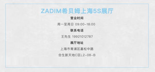 ZADIM全球布局展示