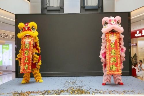 龙狮团队庆贺