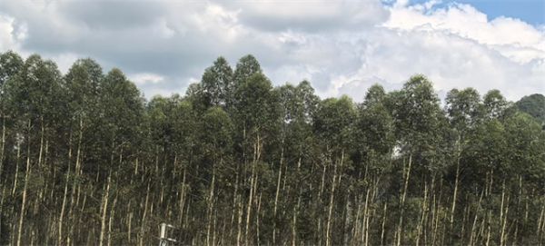 江山工厂环保生产设施