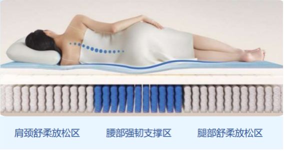 Starship 1 Pro Smart Bed Support System