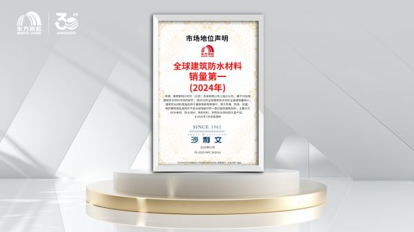 东方雨虹全球化发展图片