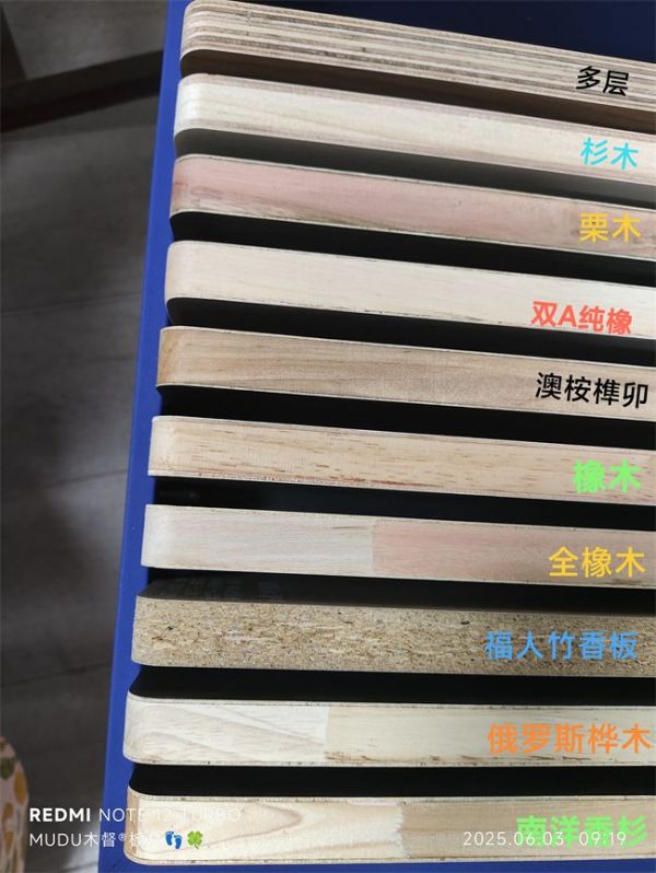 杉木尼全球寻材