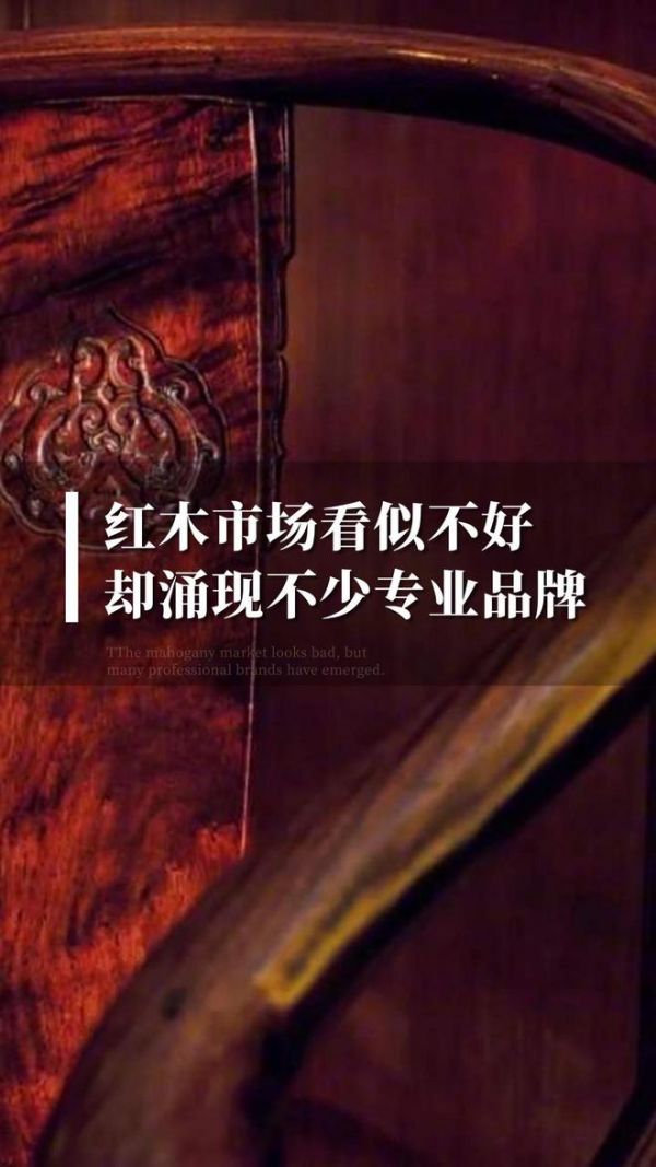 Professional Brand 0813