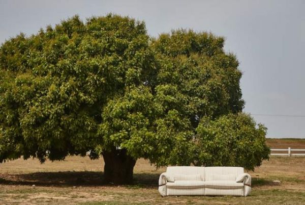 Dream Sofa by Mu Mo Furniture