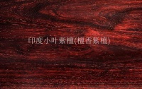 东成红木：小叶紫檀家具，收藏热门品牌