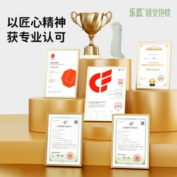 乐瓜睡觉抱枕获奖证书