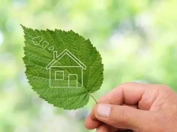 万象尤加利实木板康养功效展示