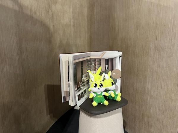 HCC兔宝宝高定饰材商业策略