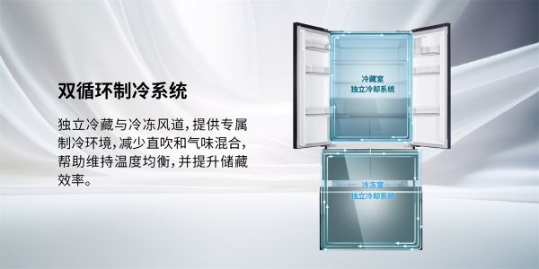Dual circulation refrigeration system